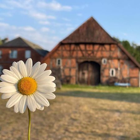 Ferienwohnung Elbsegler Блекеде Екстериор снимка