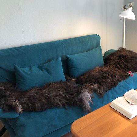 Ferienwohnung Elbsegler Блекеде Екстериор снимка