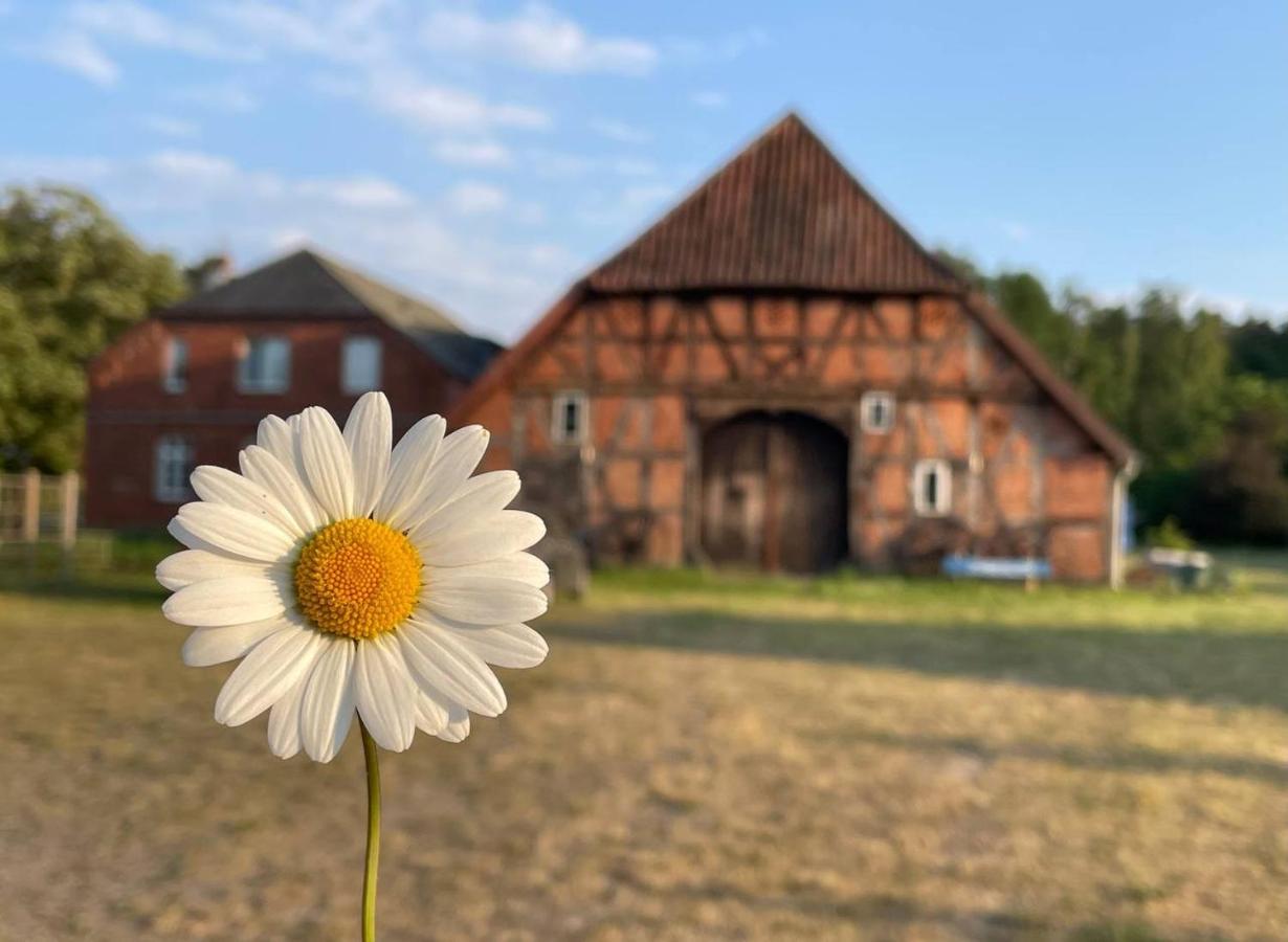 Ferienwohnung Elbsegler Блекеде Екстериор снимка