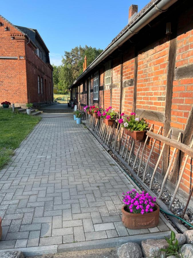 Ferienwohnung Elbsegler Блекеде Екстериор снимка