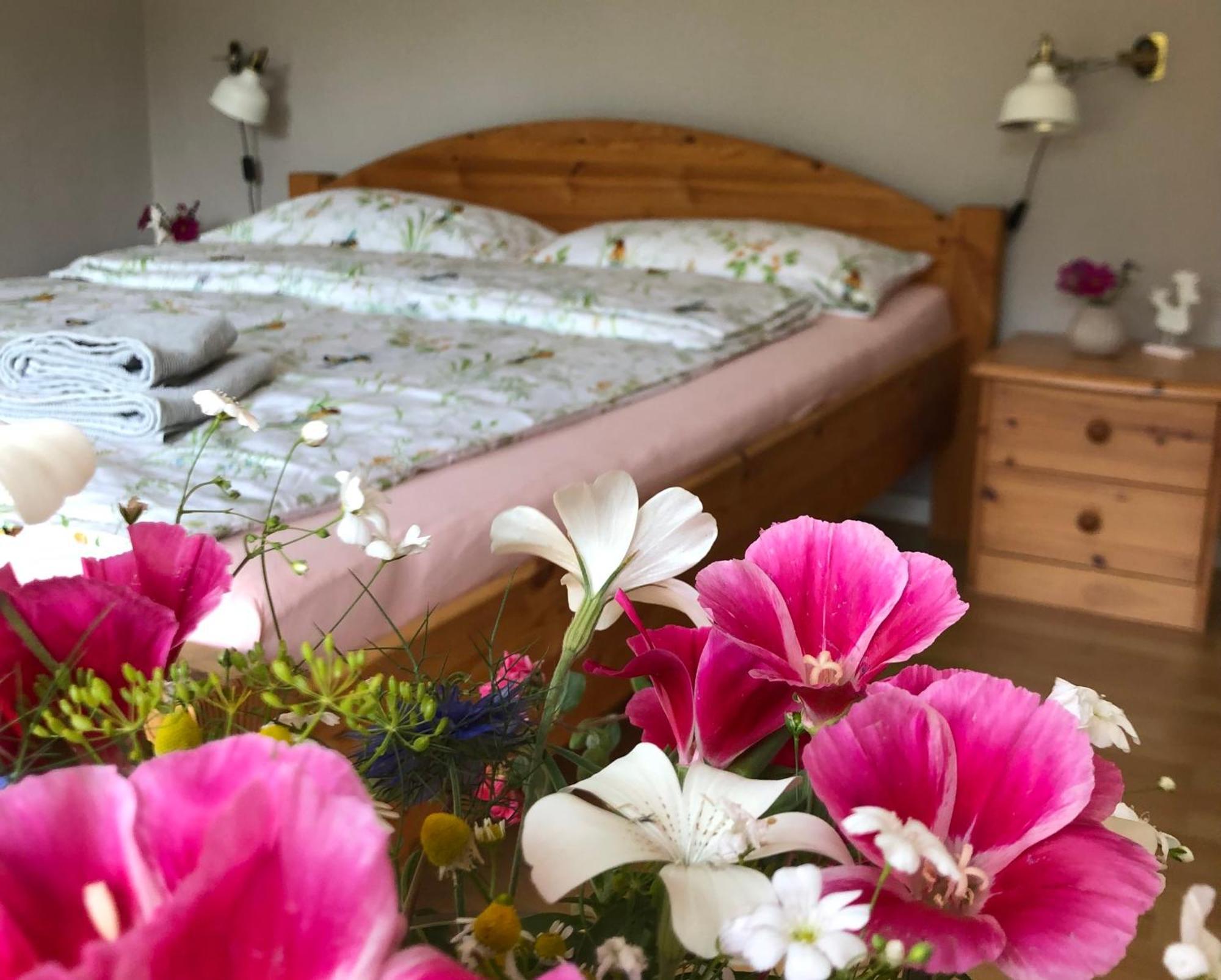 Ferienwohnung Elbsegler Блекеде Екстериор снимка